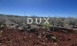 Zemljiste, Kaštelir-Labinci, Labinci, prodaja, 42600 €, 744 m2