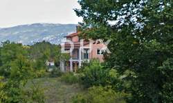 Kuca, Labin, prodaja, 650000 €, 554 m2