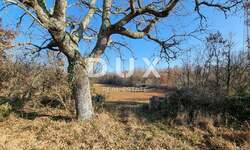 Zemljiste, Vodnjan, prodaja, 350000 €, 45472 m2