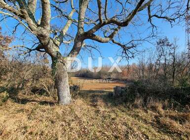 Zemljiste, Vodnjan, prodaja, 350000 €, 45472 m2