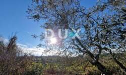 Kuca, Rovinj, prodaja, 300000 €, 68 m2