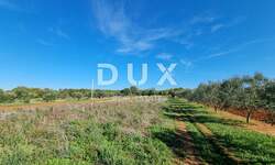 Zemljiste, Pula, Škatari, prodaja, 23000 €, 744 m2