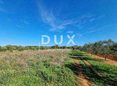 Zemljiste, Pula, Škatari, prodaja, 23000 €, 744 m2