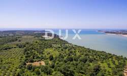 Zemljiste, Poreč, prodaja, 2300000 €, 11770 m2