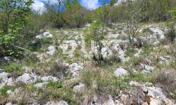 Zemljiste, Buzet, prodaja, 90000 €, 22695 m2