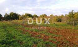 Zemljiste, Svetvinčenat, prodaja, 285000 €, 4618 m2