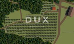 Zemljiste, Bale, prodaja, 166000 €, 12200 m2