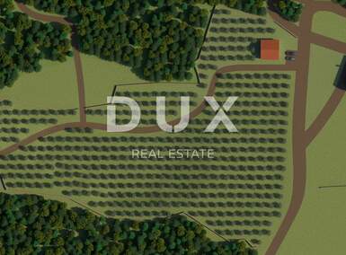 Zemljiste, Bale, prodaja, 166000 €, 12200 m2