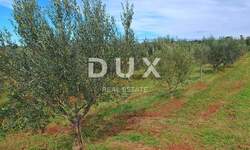 Zemljiste, Poreč, prodaja, 250000 €, 17136 m2