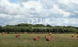 Zemljiste, Pula, Centar, prodaja, 1144000 €, 16000 m2