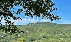 Kuca, Pićan, prodaja, 265000 €, 320 m2