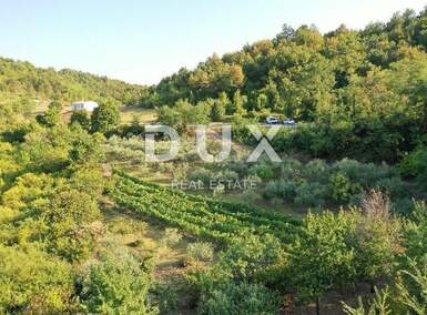 Zemljiste, Gračišće, prodaja, 45000 €, 4067 m2