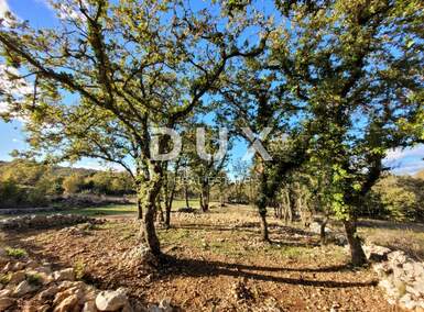 Zemljiste, Dobrinj, Šilo, prodaja, 21999 €, 219 m2