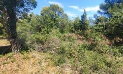 Zemljiste, Medulin, Premantura, prodaja, 338000 €, 1300 m2