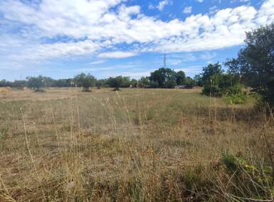 Zemljiste, Fažana, prodaja, 105000 €, 1289 m2