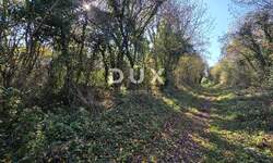 Zemljiste, Kršan, prodaja, 100000 €, 35000 m2