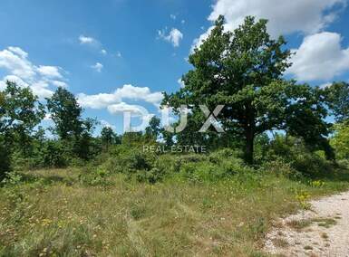 Zemljiste, Višnjan, Smolići, prodaja, 46500 €, 5629 m2