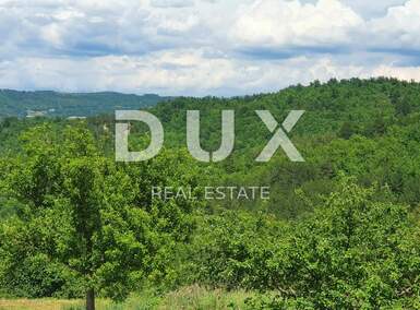 Zemljiste, Pazin, Grdoselo, prodaja, 390000 €, 190035 m2