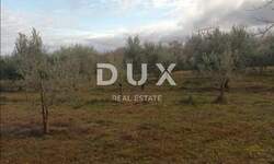 Zemljiste, Barban, prodaja, 100000 €, 9707 m2