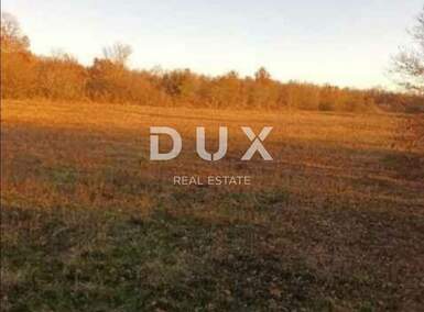 Zemljiste, Barban, Borinići, prodaja, 45000 €, 8647 m2