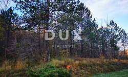 Zemljiste, Cerovlje, Paz, prodaja, 315000 €, 4834 m2