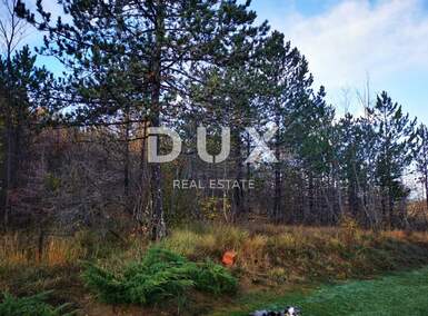 Zemljiste, Cerovlje, Paz, prodaja, 315000 €, 4834 m2