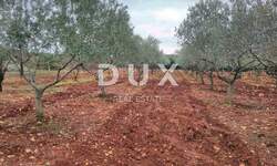 Zemljiste, Marčana, prodaja, 488000 €, 13205 m2