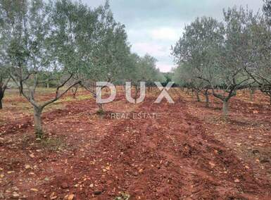 Zemljiste, Marčana, prodaja, 488000 €, 13205 m2