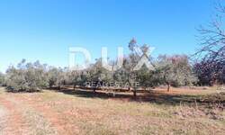 Zemljiste, Marčana, Peruški, prodaja, 229000 €, 14683 m2