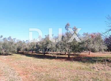 Zemljiste, Marčana, Peruški, prodaja, 229000 €, 14683 m2