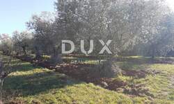 Zemljiste, Novigrad, prodaja, 161000 €, 6413 m2