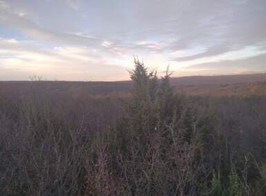 Zemljiste, Krk, prodaja, 59000 €, 5674 m2