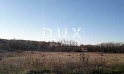 Zemljiste, Višnjan, Vranići kod Višnjana, prodaja, 69000 €, 13245 m2