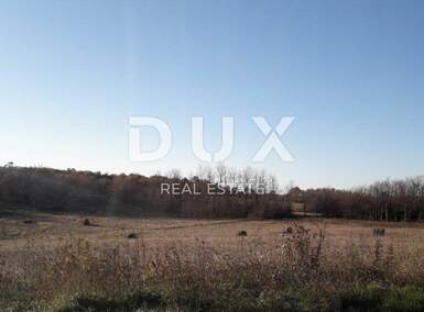 Zemljiste, Višnjan, Vranići kod Višnjana, prodaja, 69000 €, 13245 m2