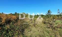 Zemljiste, Barban, prodaja, 16500 €, 5167 m2