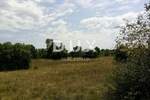 Zemljiste, Labin, prodaja, 200000 €, 8180 m2