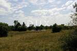 Zemljiste, Labin, prodaja, 200000 €, 8180 m2
