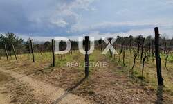 Zemljiste, Gračišće, prodaja, 80000 €, 50860 m2