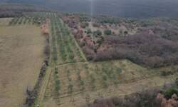 Zemljiste, Kanfanar, Jural, prodaja, 205000 €, 18771 m2