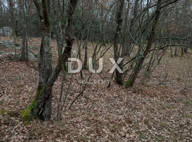 Zemljiste, Kršan, prodaja, 121000 €, 48524 m2