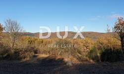 Zemljiste, Vižinada, prodaja, 420000 €, 5261 m2