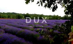 Zemljiste, Grožnjan, prodaja, 425000 €, 6000 m2