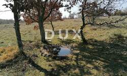 Zemljiste, Višnjan, Sveti Ivan, prodaja, 186000 €, 44600 m2