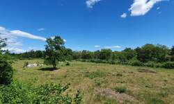 Zemljiste, Svetvinčenat, Juršići, prodaja, 418000 €, 20132 m2