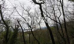 Zemljiste, Matulji, prodaja, 380000 €, 2838 m2