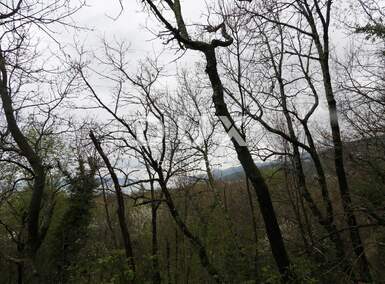 Zemljiste, Matulji, prodaja, 380000 €, 2838 m2