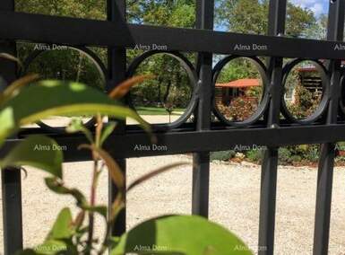 Kuca, Tinjan, prodaja, 329000 €, 70 m2