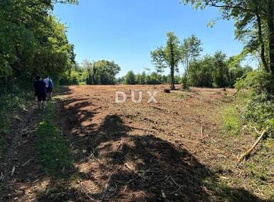 Zemljiste, Ližnjan, Muntić, prodaja, 76800 €, 10097 m2