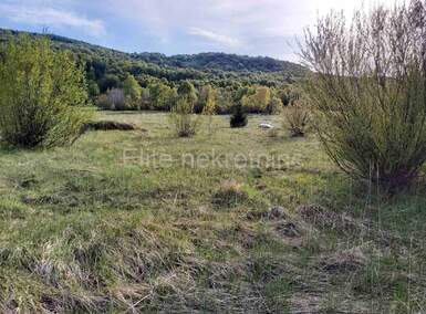 Zemljiste, Delnice, Zalesina, prodaja, 120000 €, 22000 m2