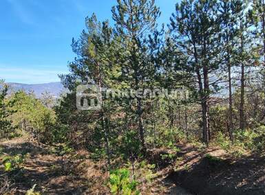 Zemljiste, Cerovlje, Paz, prodaja, 290000 €, 214230 m2